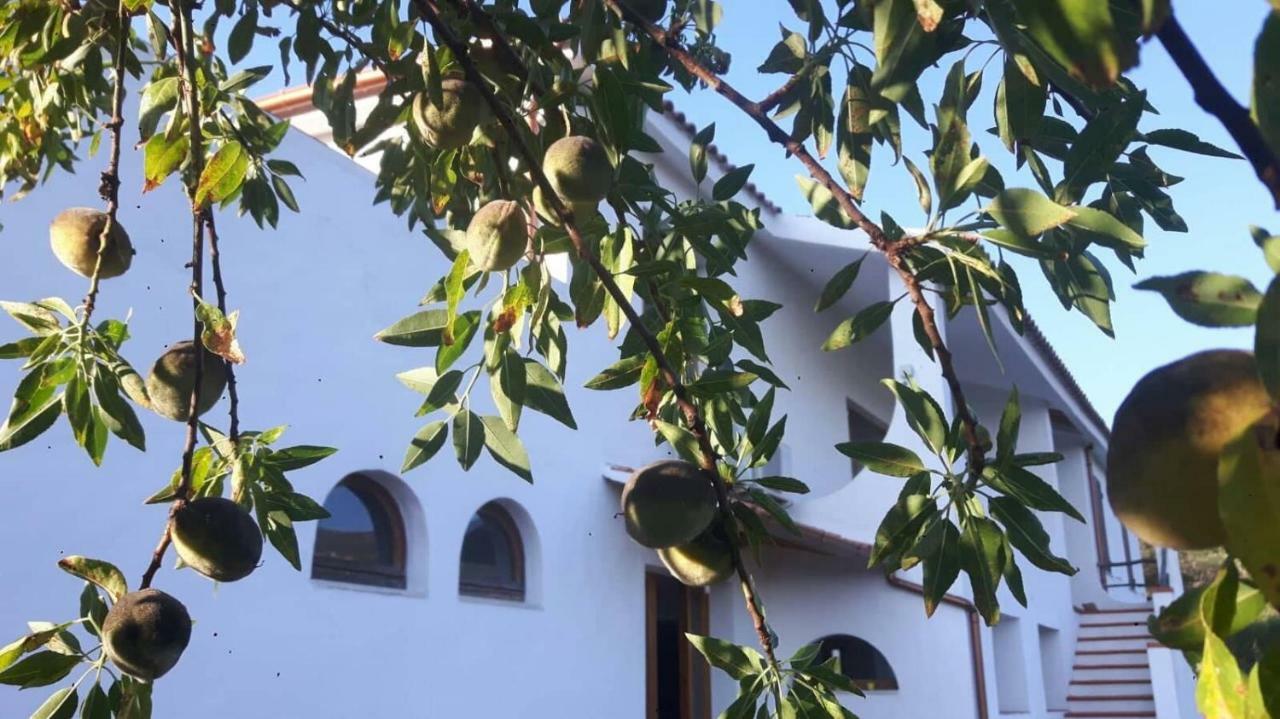 Salmagilandia Hotel Terra Mala Buitenkant foto